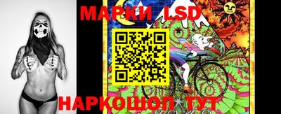 стаф Берёзовский