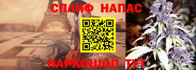 стаф Берёзовский