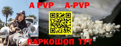 стаф Берёзовский