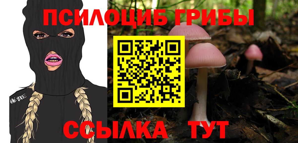 Галлюциногенные грибы Psilocybine cubensis Каменск-Шахтинский